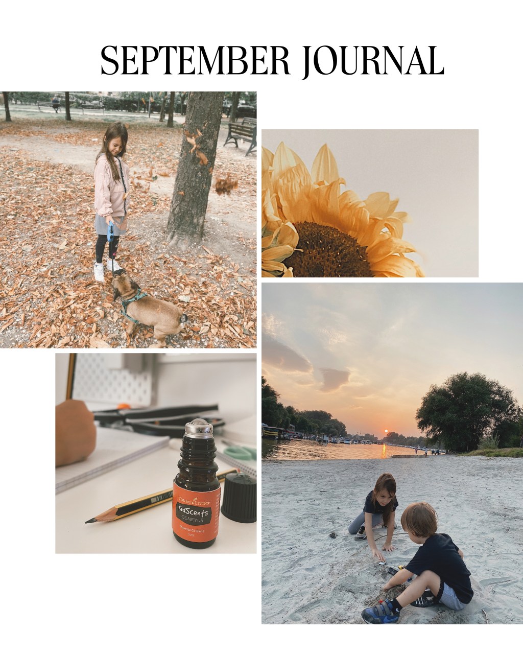 September – the monthly&nbsp;journal